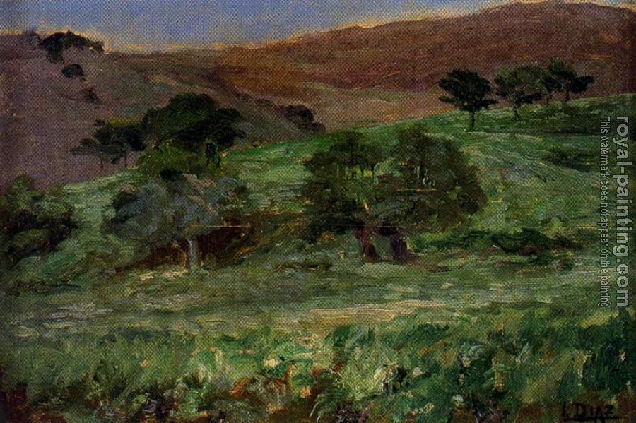Ignacio Diaz Olano : Landscape II
